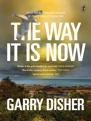 cover image of The Way It Is Now